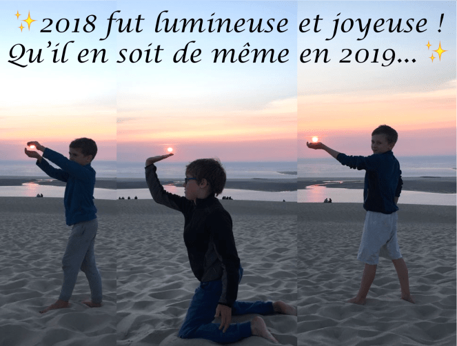 Voeux2019